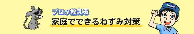 プロが教える家庭でできるねずみ対策~ねずみが及ぼす害~